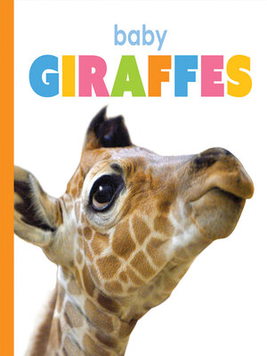 cover image of Baby Giraffes